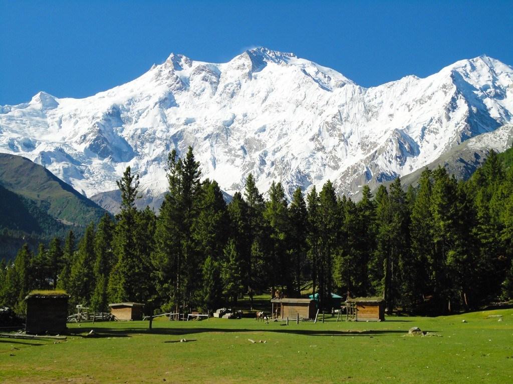 Fairy Meadows