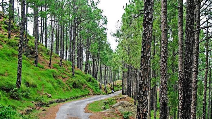 Kotli Sattian Destination Gallery