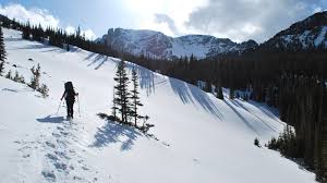 Mushkpuri Top