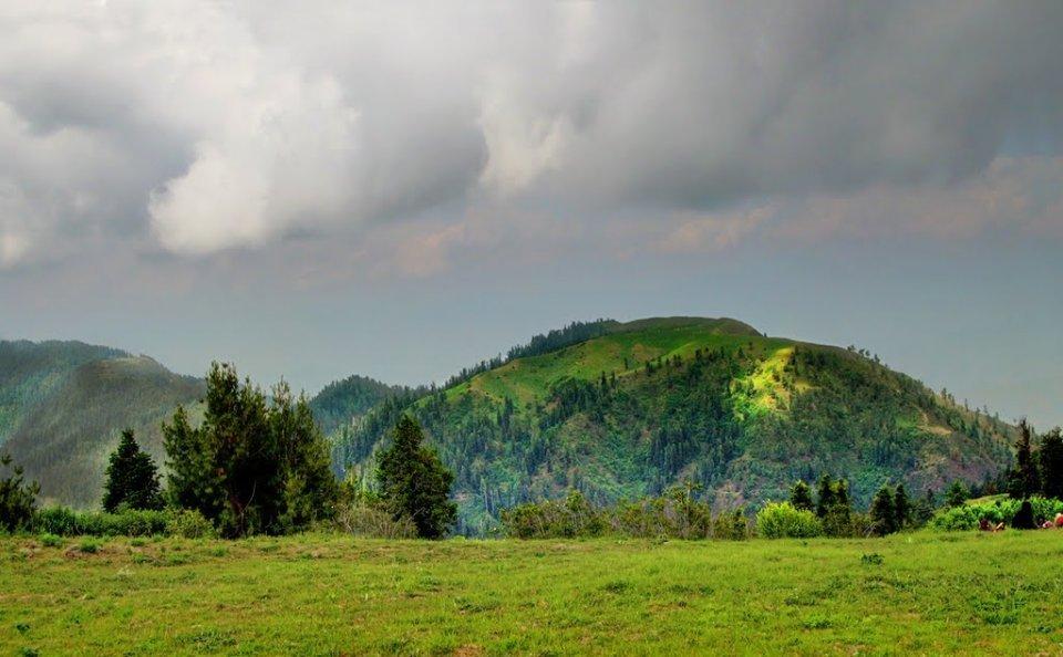 Miranjani Top