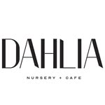 Dahlia
