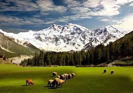 5 days tour to FAIRY MEADOWS