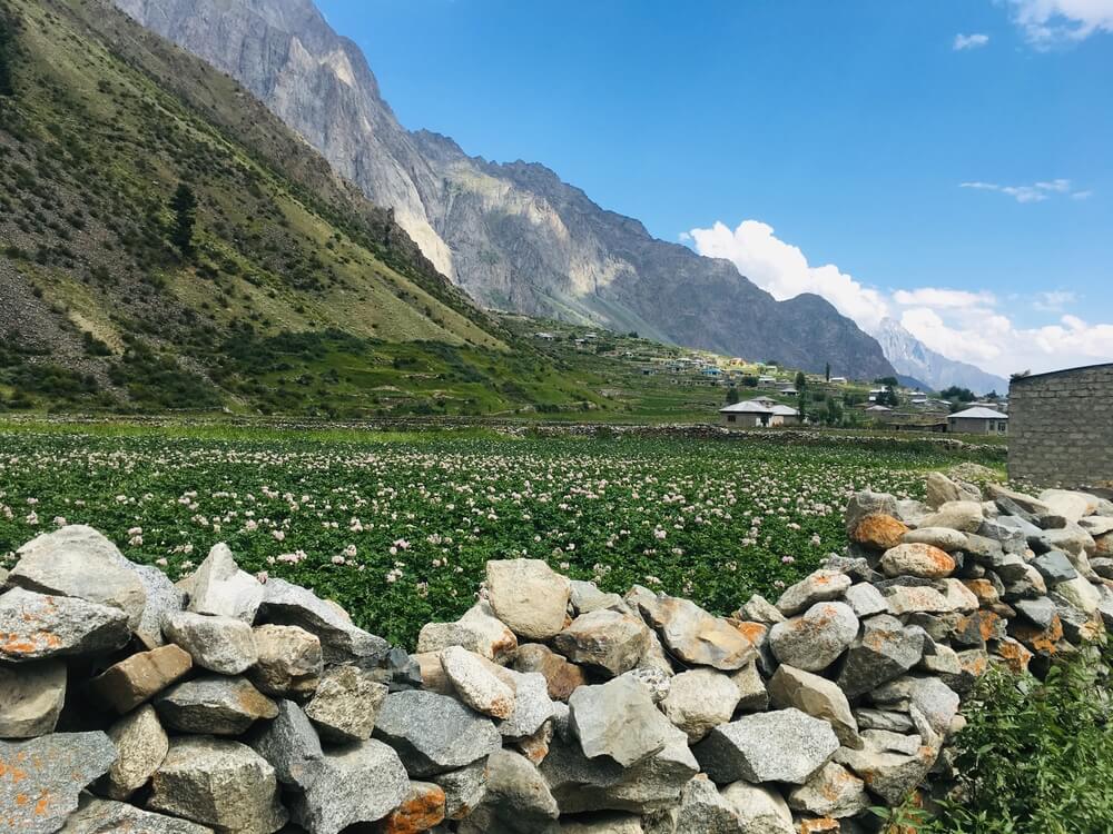 5 days tour to HUNZA & NALTAR VALLEY