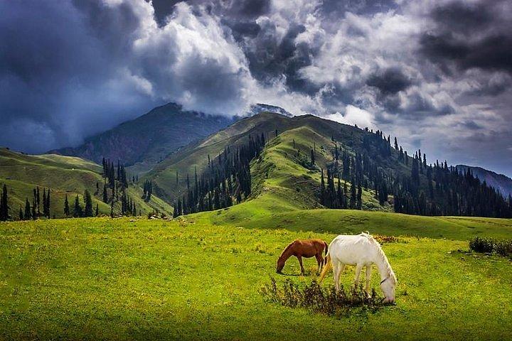 3 days tour of tranquilized NARAN VALLEY