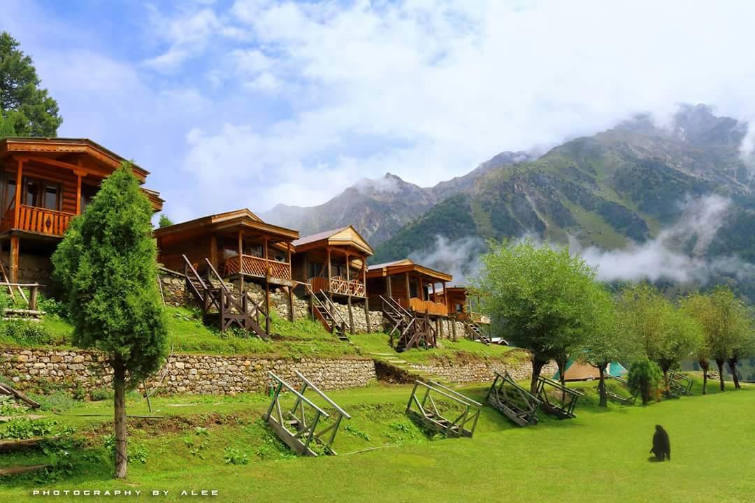 05 Days Tour to FAIRY MEADOWS & BEYAL CAMP