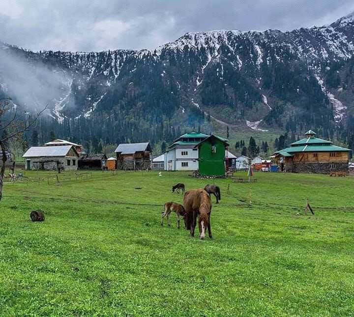 Pakistan Trips And Tours Specialists