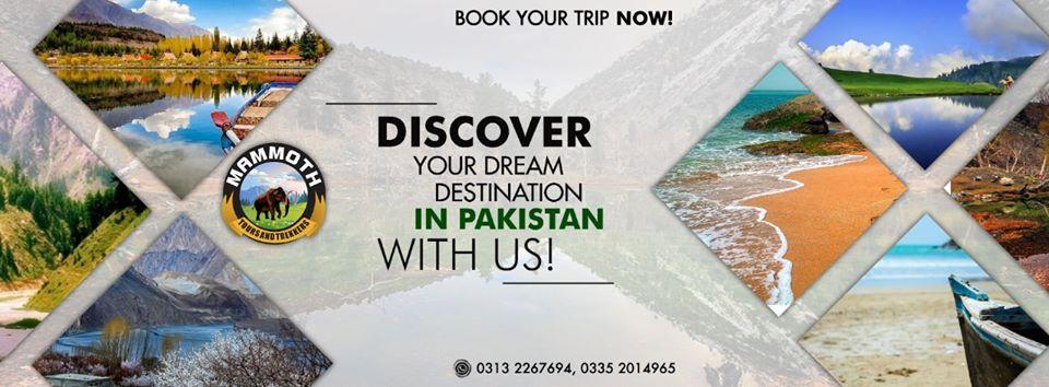 Mammoth Tours and Trekkers